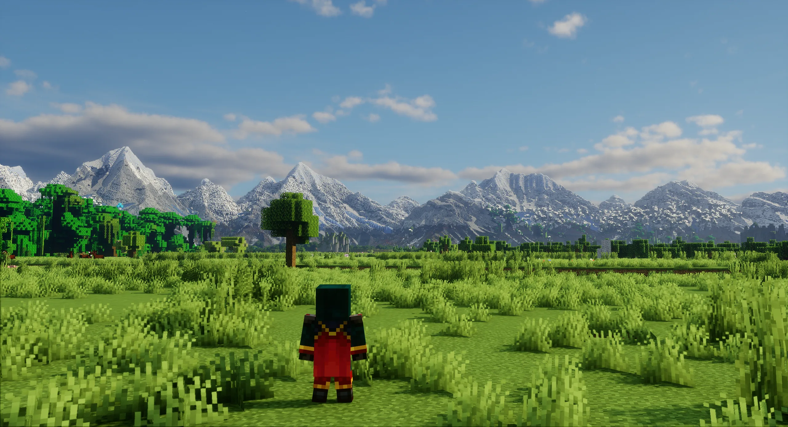 Large Patreon survival world with mountain ranges beyond a grassy plain