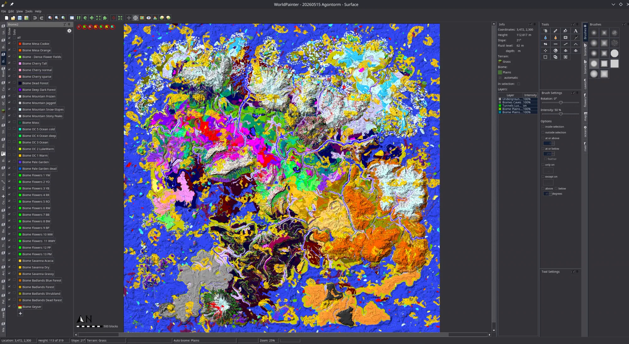 Terrain, biomes and asset layers combined in WorldPainter